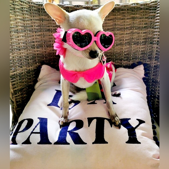 Meet your Posher, Charity - Picture 4 of 11